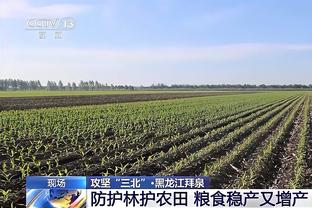 存在感不足！霍伊伦本场数据：2射1正，1次错失良机，评分6.3分